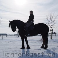 Pferd und Reiter 0988
